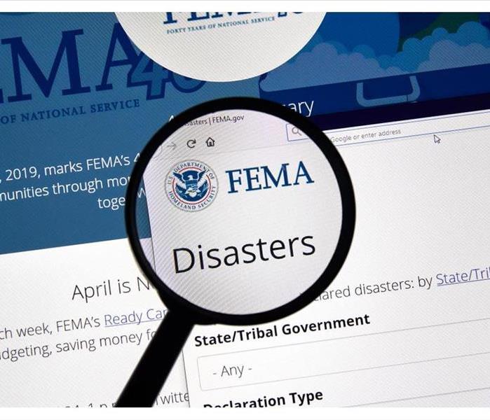 Fema.gov Disasters USA Government home page under magnifying glass. 