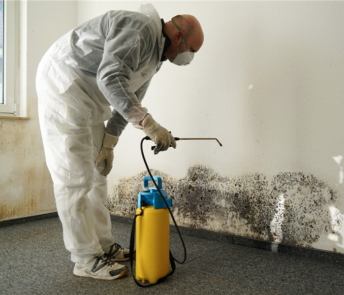 specialist in PPE combating mold in an apartment